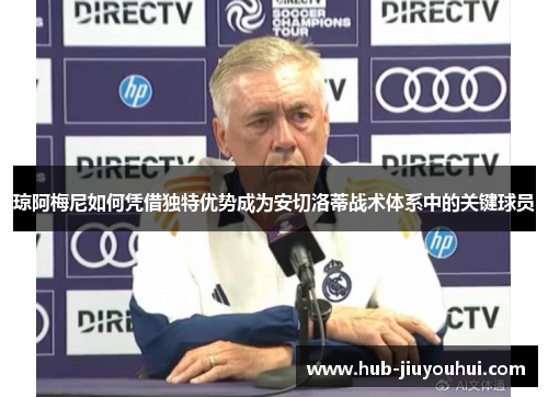 琼阿梅尼如何凭借独特优势成为安切洛蒂战术体系中的关键球员